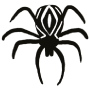 spider icon